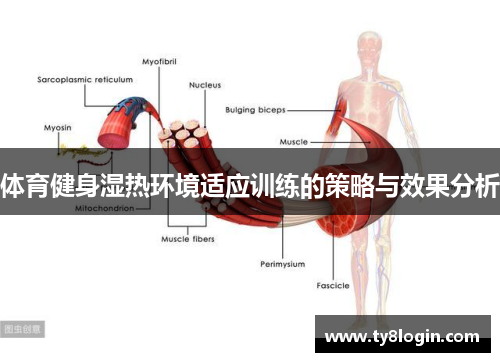 体育健身湿热环境适应训练的策略与效果分析